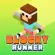 /data/image/game/blockyrunner3.png